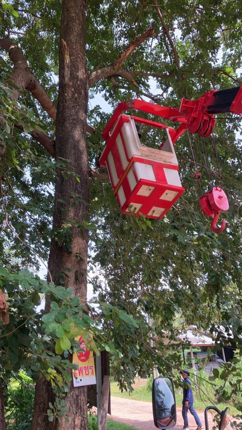 ​งานป้องกันบรรเทาสาธารณภัย งานกองช่างและ ลงพื้นที่ปรับปรุงภูมิทัศน์และซ่อมแซมไฟฟ้าบ้านตาเอ็ม