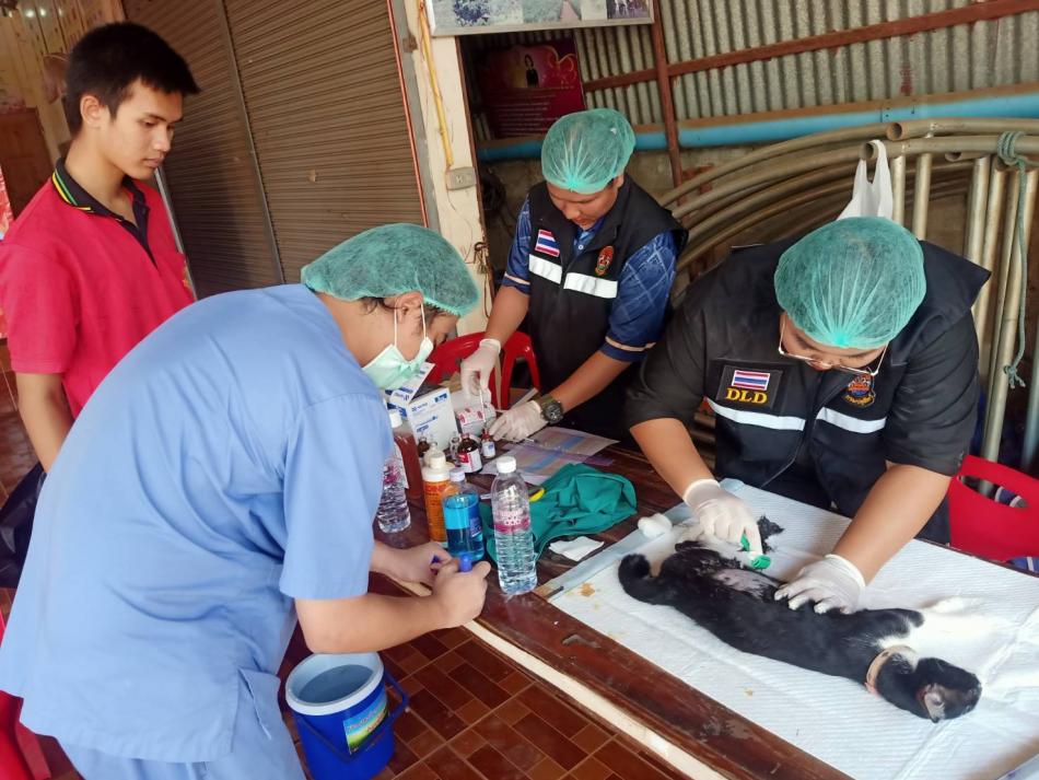วันที่ 31 มีนาคม 2569 เจ้าหน้าที่สาธารณสุขเทศบาลตำบลตาเกาลงพื้นทีทออกฉีดวัคซีนป้องกันโรคพิษสุนัขบ้าให้กับสัตว์เลี้ยง(สุนัข-แมว) ในเขตพื้นที่เทศบาลตำบลตาเกาประจำปี 2569 ณ บ้านรุ่งแสงจันทร์​ และ บ้านซำเหนือ